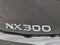 2020 Lexus NX 300 NX 300 F SPORT